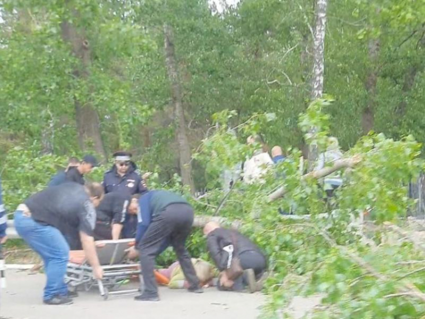Дерево упало на женщину на воронежском кладбище 