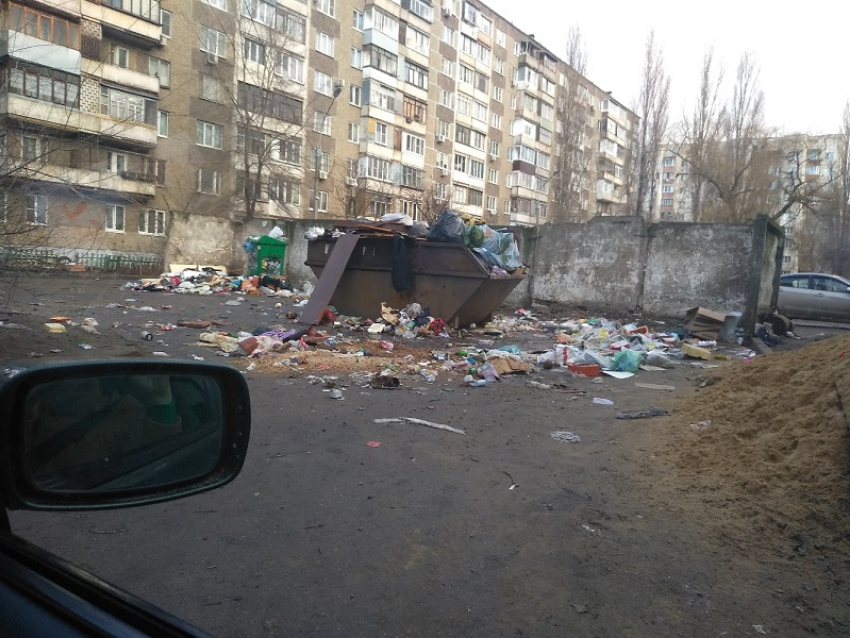 Помойный коллапс образовался под окнами воронежской многоэтажки