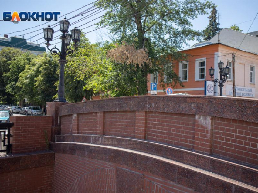 «Мост глупости» отремонтируют в Воронеже  