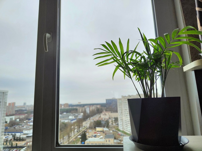 Один БПЛА сбили в небе над одним из районов Воронежской области 