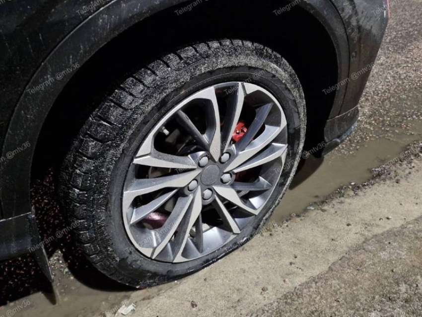 «Когда этот беспредел закончится?»: яма сорвала 8 Марта жительнице Воронежа