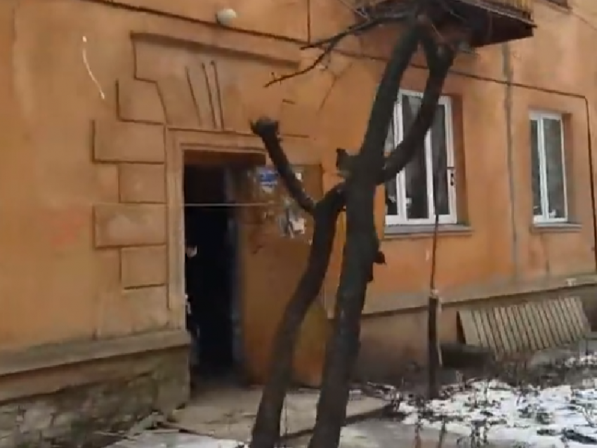 Воронежцы вынуждены жить в сыром доме с плесенью и трещинами 