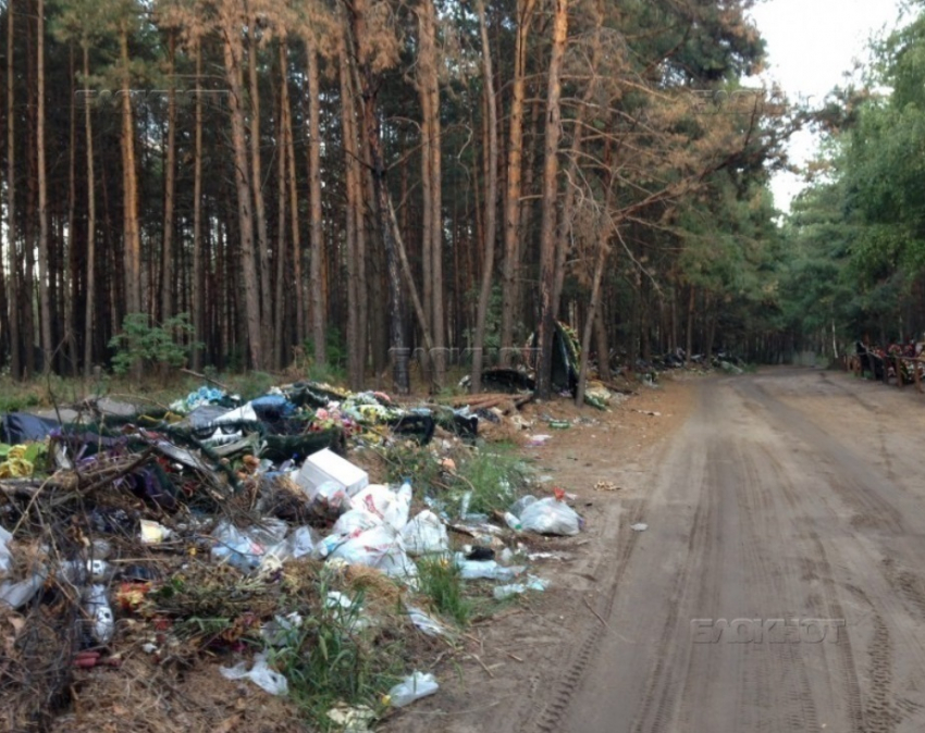 На окраине Воронежа покойники «задыхаются» от мусора 
