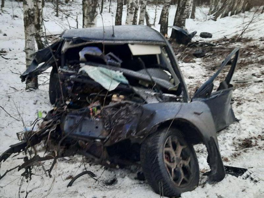 Иномарка врезалась в дерево на воронежской трассе