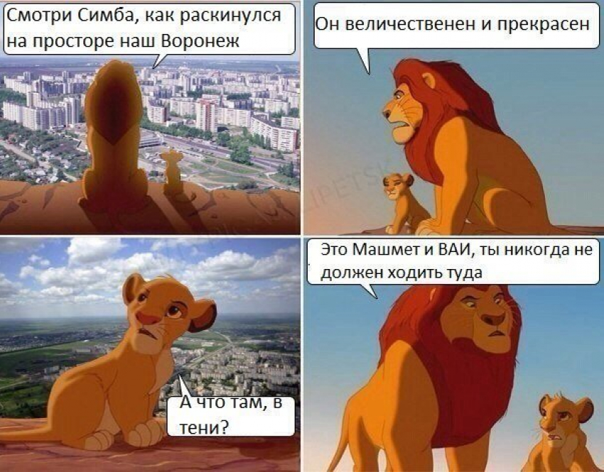 Из микрорайонов ВАИ и Машмет в Воронеже сделали мем 