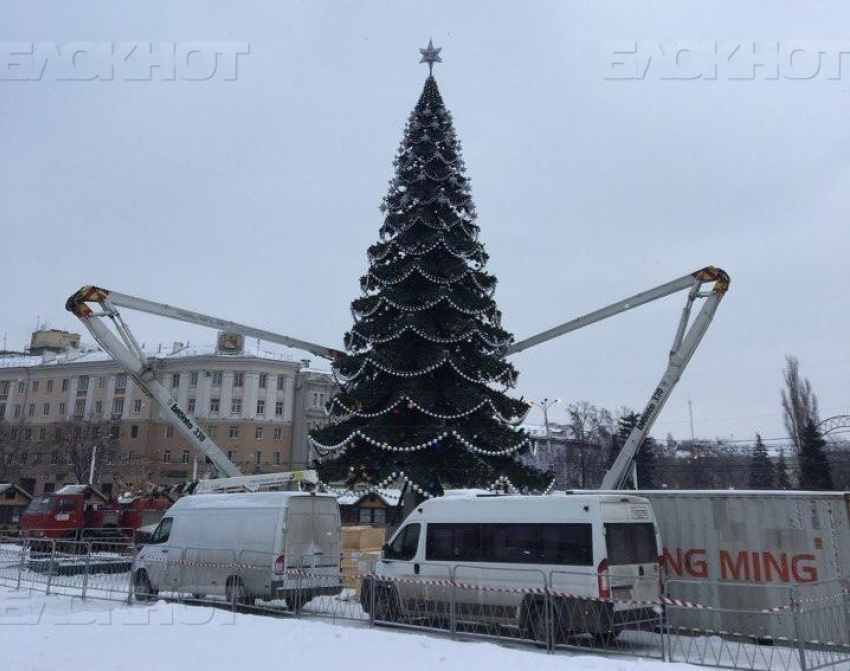 Скандальную воронежскую ёлку взяли под круглосуточную охрану