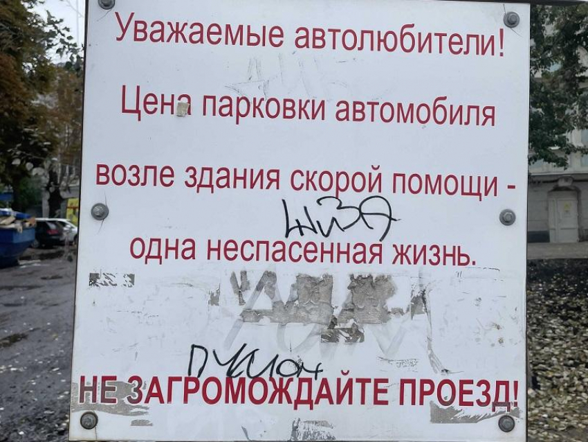 Воронежцев попросили прекратить парковку, несущую смерть 