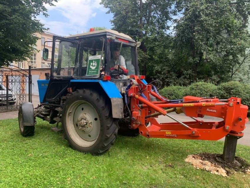 Десятки пней удалят в Центральном районе Воронежа