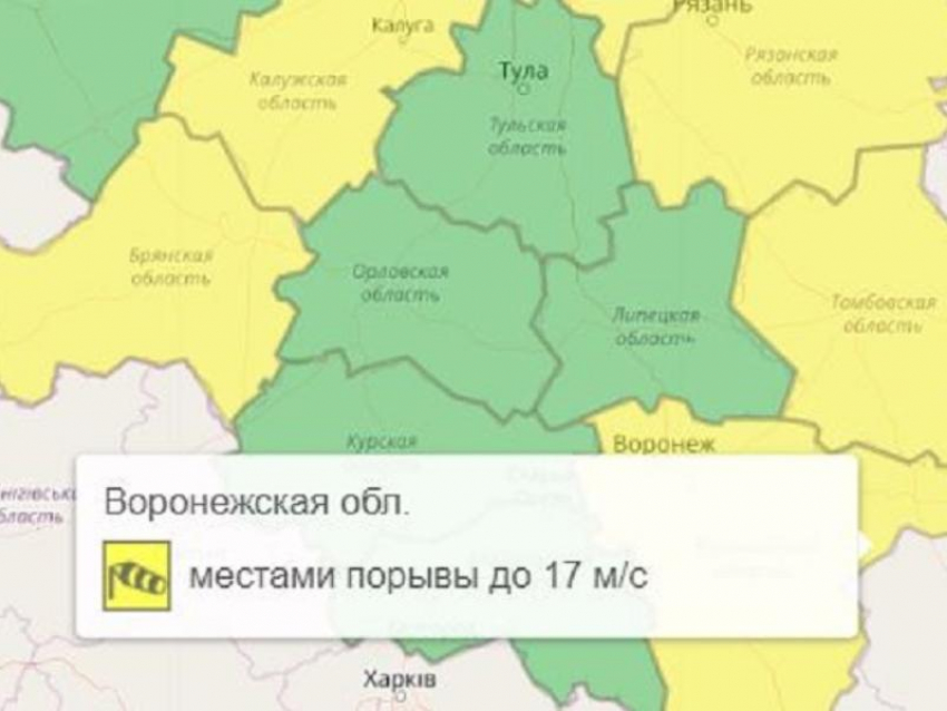 Жёлтый уровень опасности объявили из-за погодного явления в Воронежской области 