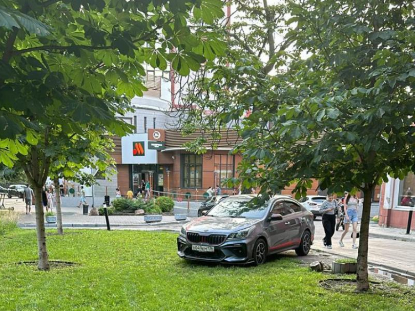 Моральные нормы и принципы автомобилиста поставили под сомнение воронежские экологи 