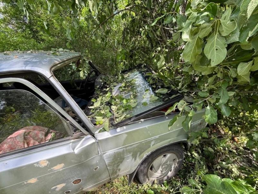Автомобилист вылетел с дороги и разбился в ДТП в Воронежской области