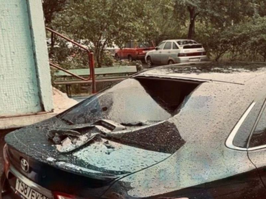 Выпавший из окна кот проломил машину в Воронеже – опубликовано фото