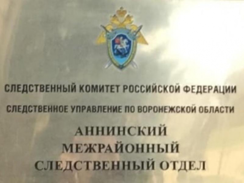 Нападением собаки на ребенка в Воронежской области заинтересовались следователи