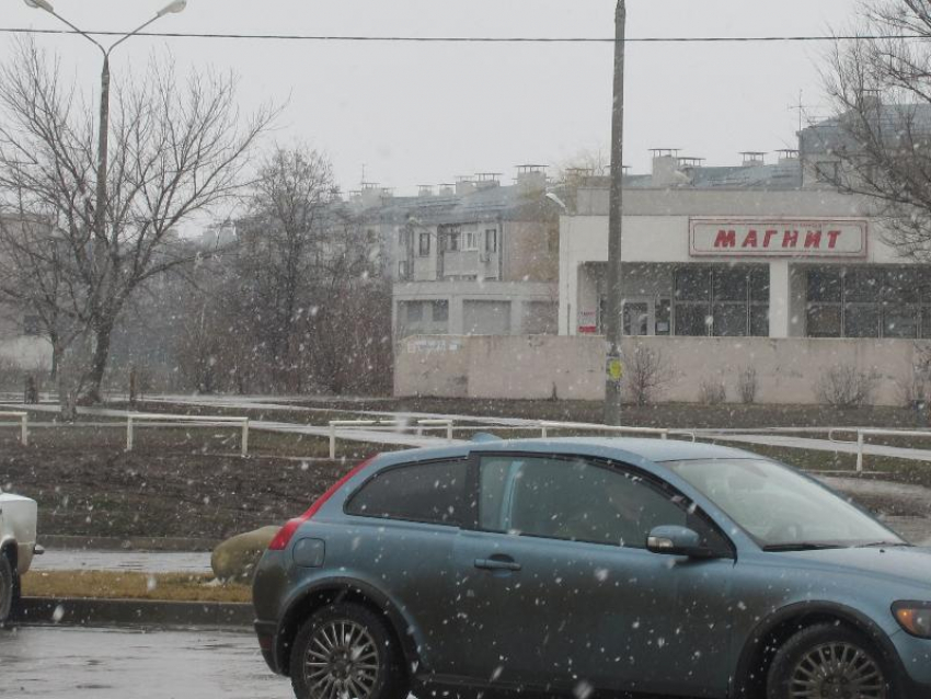 Заморозки до -5 обещают в конце недели в Воронеже