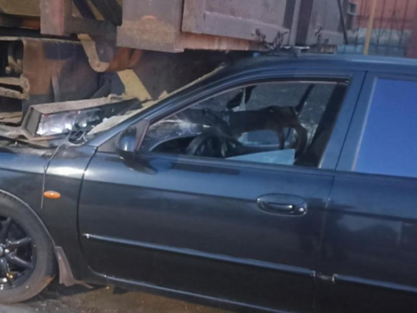 Легковушка угодила под грузовик в Воронежской области – есть пострадавшие