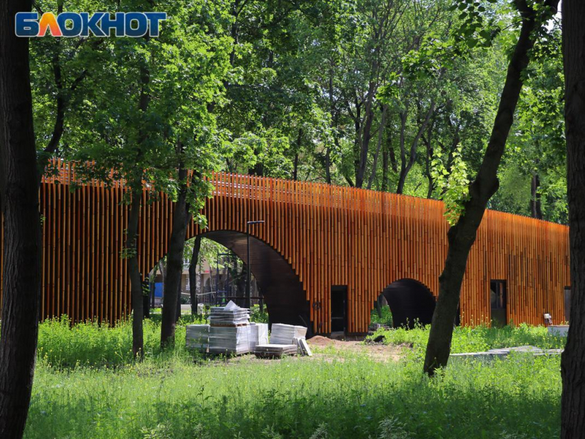 Парк «Орленок» в Воронеже могут открыть уже в этом году