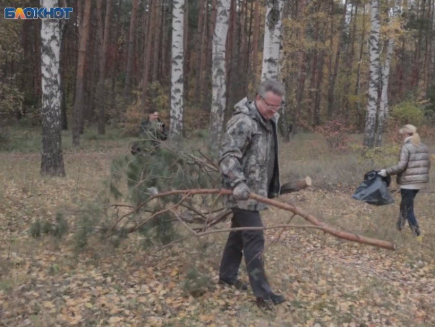 Воронежский мэр планирует выйти на генеральную уборку города после зимы 