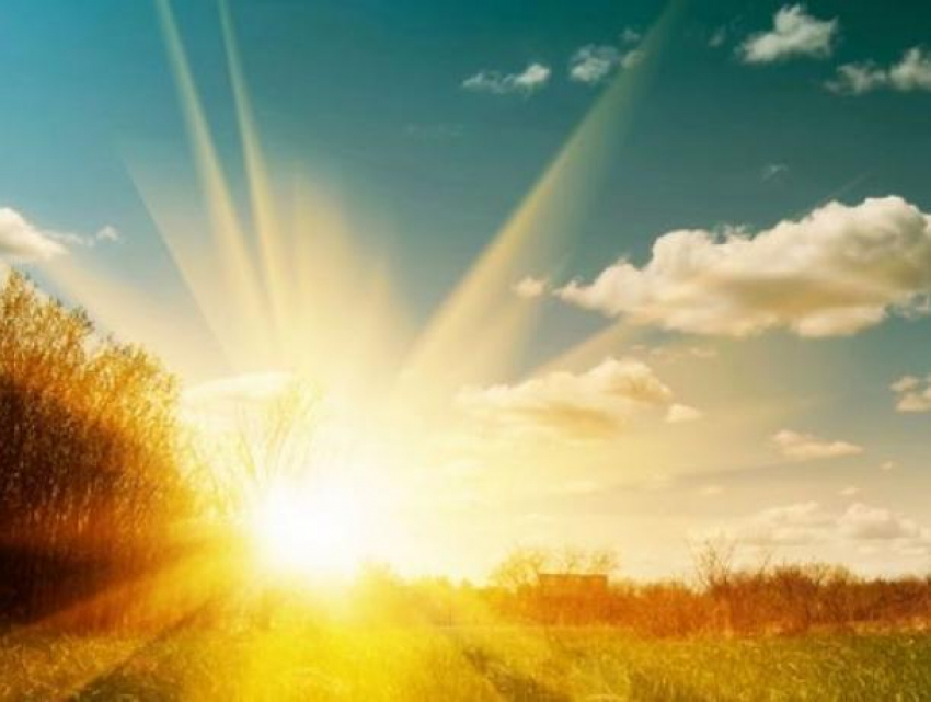 В Воронеже синоптики объявили «оранжевый» уровень погодной опасности