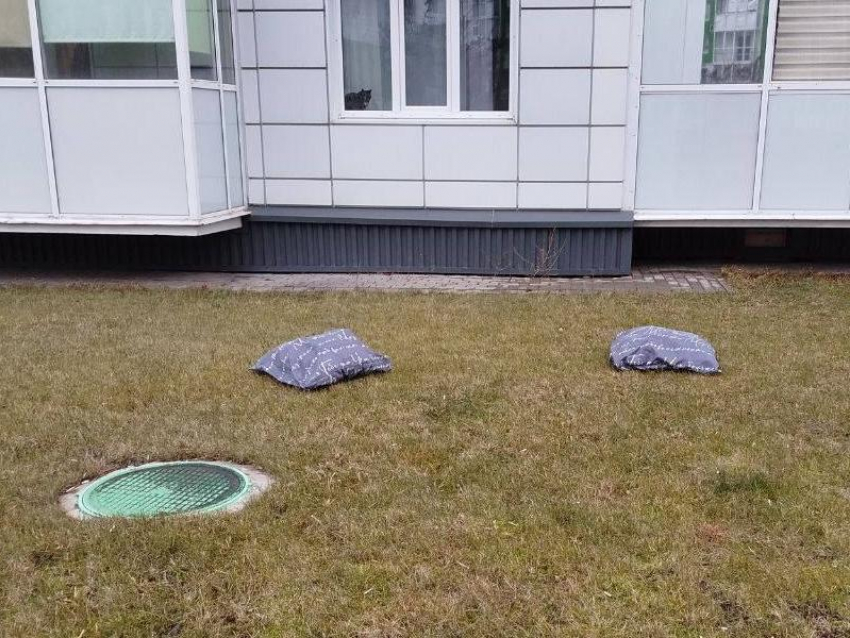 Следы ночевки на газоне заметили в Воронеже