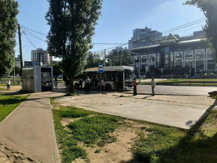 Автобусная недо-остановка прожаривает воронежцев в бешеную жару