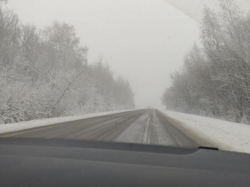 Заморозки до -12° обещают в Воронежской области