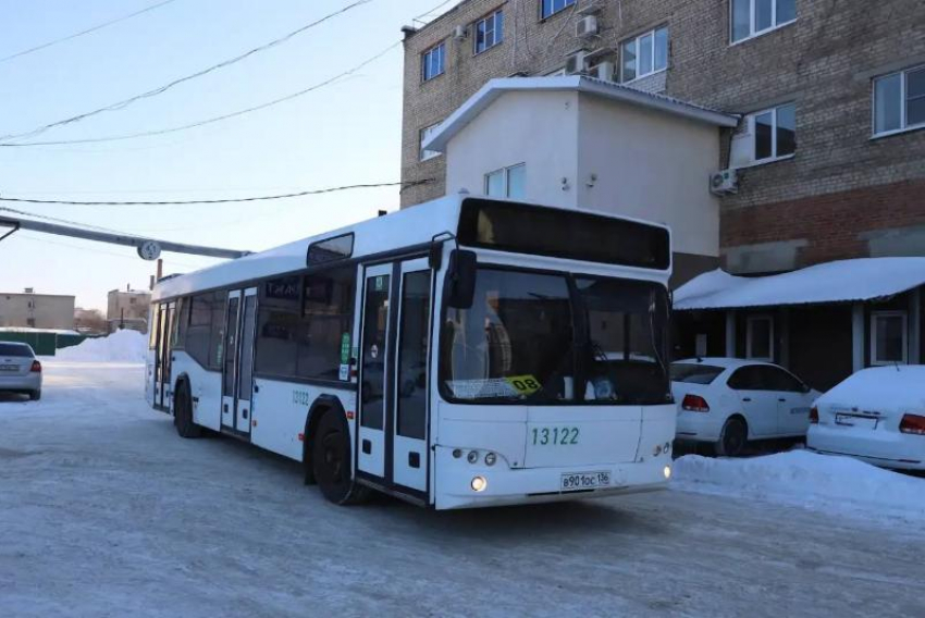 Популярный воронежский маршрут расширили тремя автобусами 