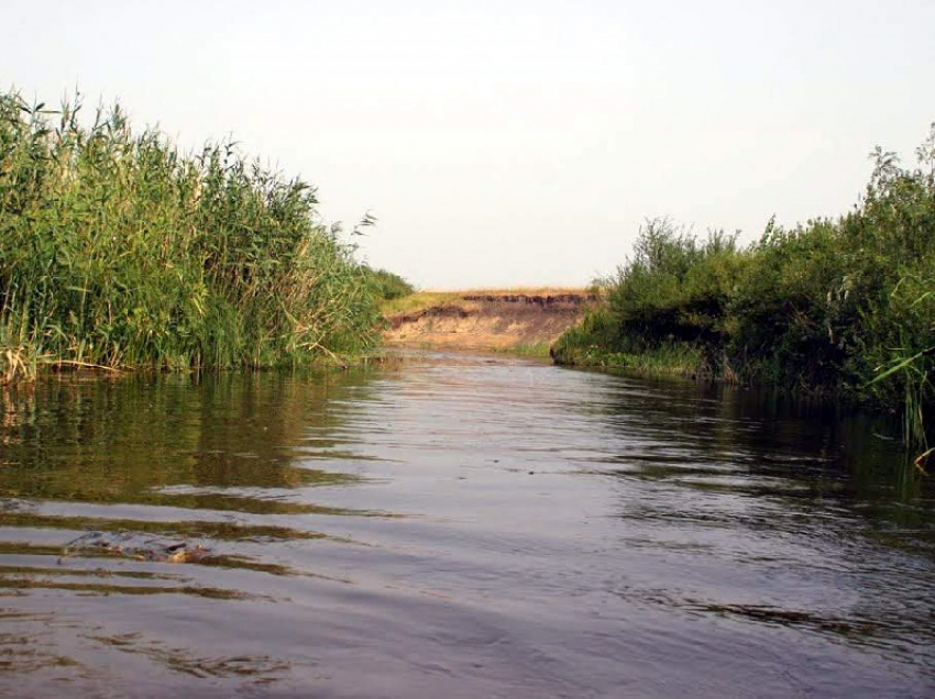 Труп мужчины подняли водолазы со дна реки в Воронежской области
