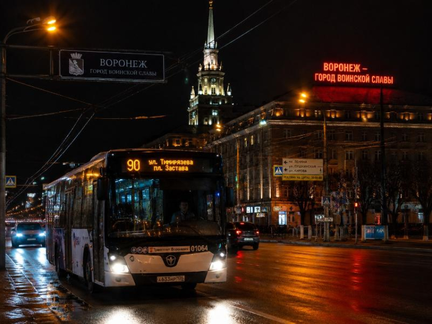 Воронежский водитель выгнал из автобуса в ночь несовершеннолетнего инвалида 1-й группы 