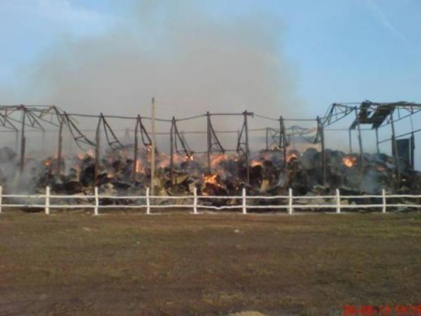 В Калачеевком районе на сенохранилище сгорело 300 тонн сена