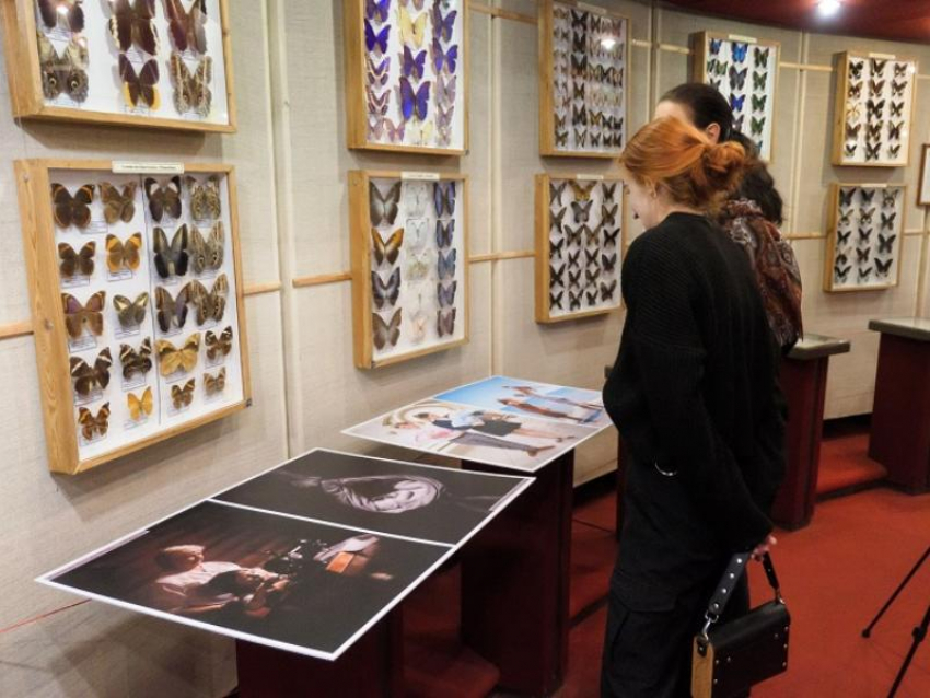 В Воронеже открылась выставка семейной фотографии