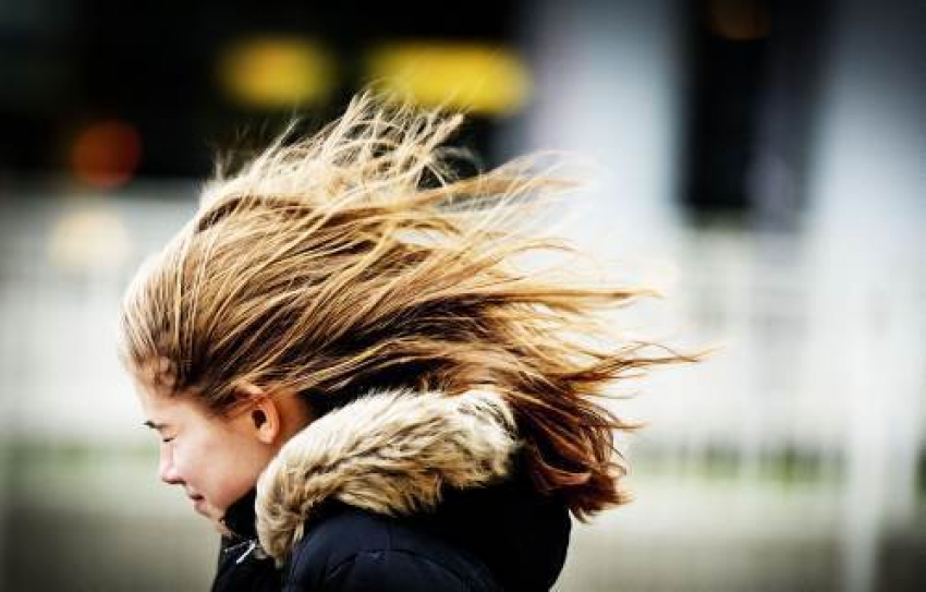 Воронежские спасатели: ветер в городе усилится