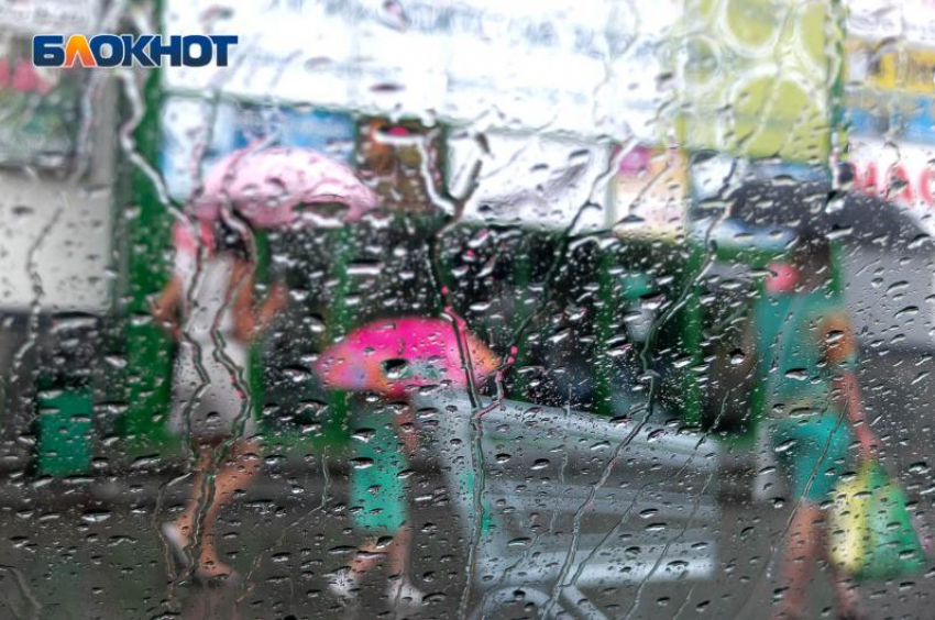 Июль начнется с осадков: какой будет погода в Россоши 