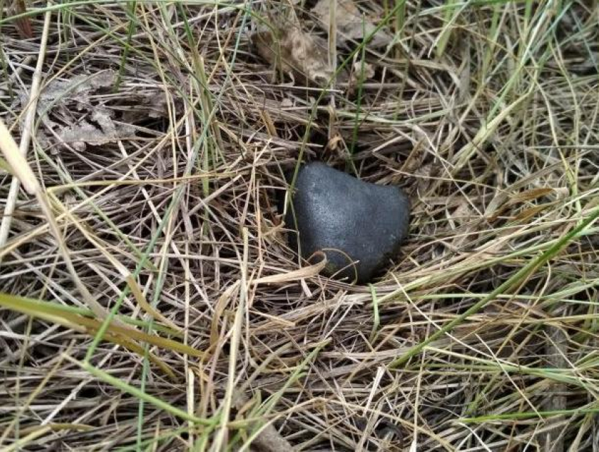 Ученые показали фотографии пролетавшего над Воронежем метеорита
