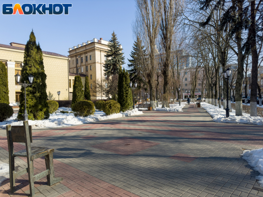 Еще 2 млн рублей потратят на благоустройство одного из лучших скверов в центре Воронежа