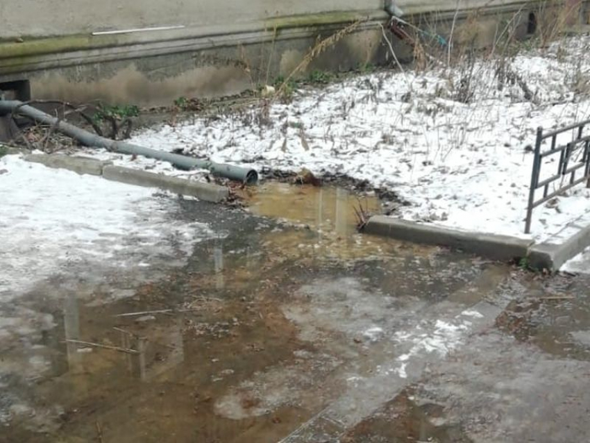 Фекальное шоу произошло во дворе пятиэтажки рядом с «Юбилейным» в Воронеже