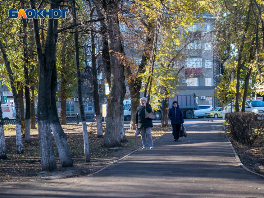 Температурный рекорд зафиксировали в Воронеже в последние дни осени