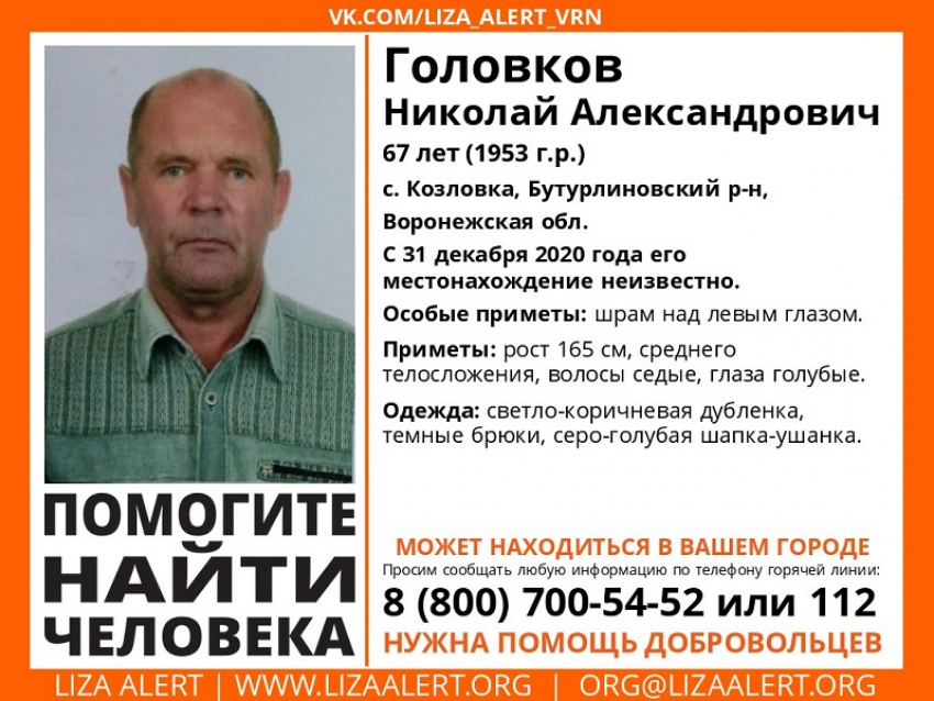 Пенсионер в шапке-ушанке исчез в новогоднюю ночь в Воронежской области