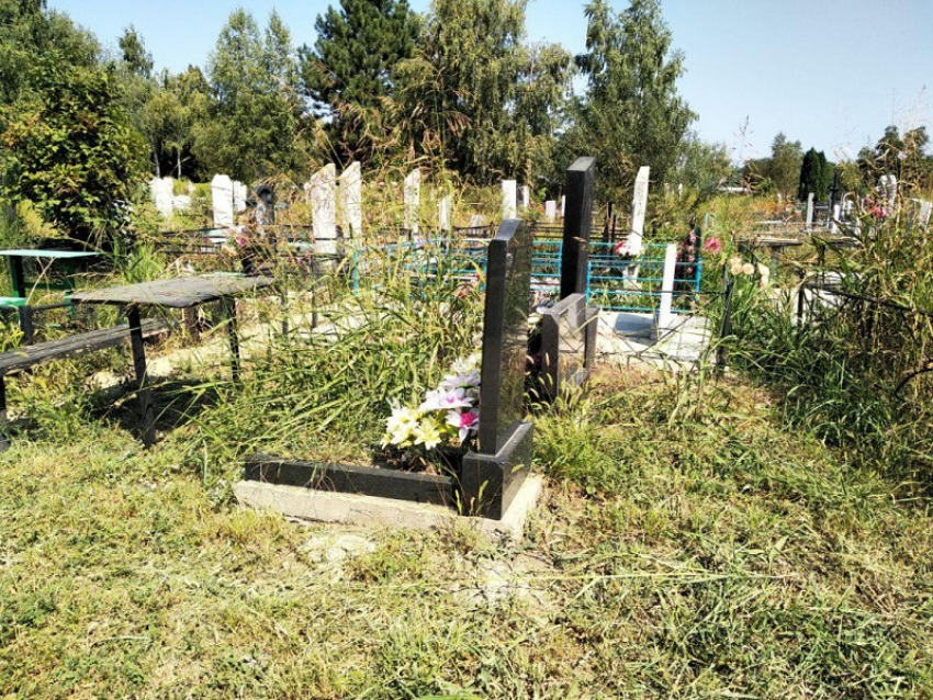 Воронежцев попросили привести могилы усопших родственников в порядок 