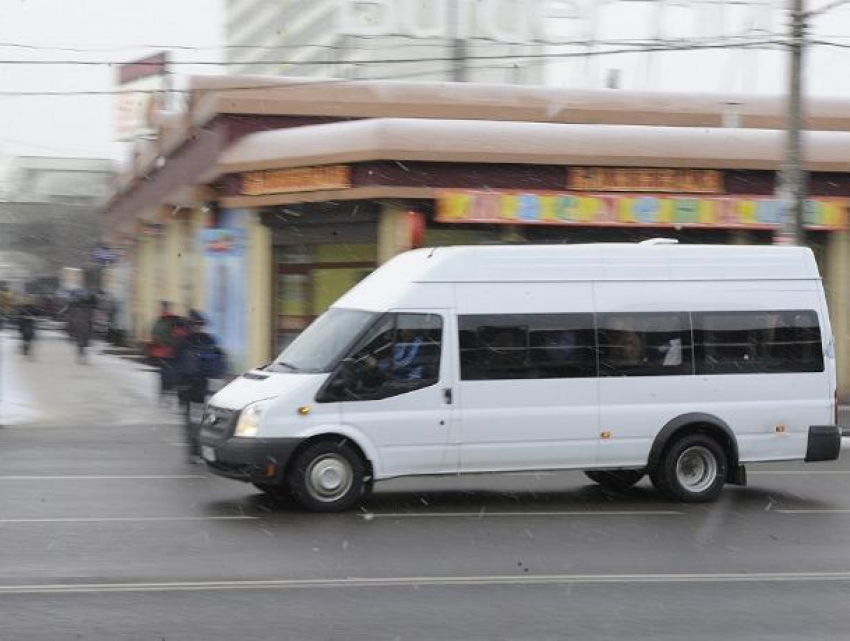 17 автобусов добавят на популярный маршрут в Воронеже