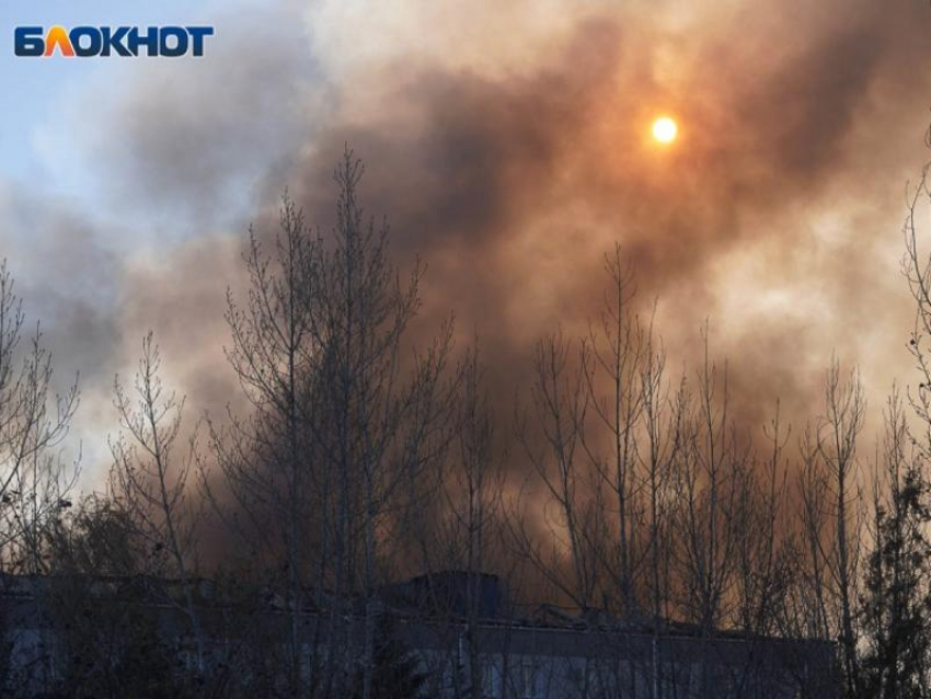 Пожар вблизи взрывоопасных объектов вызвали упавшие обломки БПЛА в Воронежской области