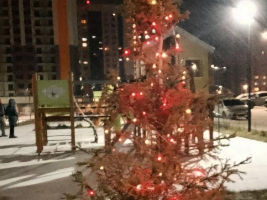 Очень грустную елочку заметили в предновогоднем Воронеже