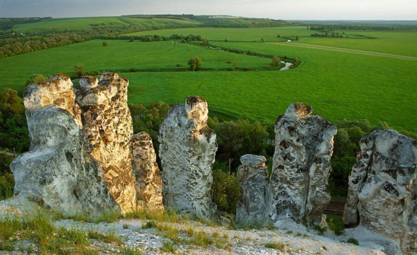Воронежский музей-заповедник «Дивногорье» стал победителем во всероссийском конкурсе
