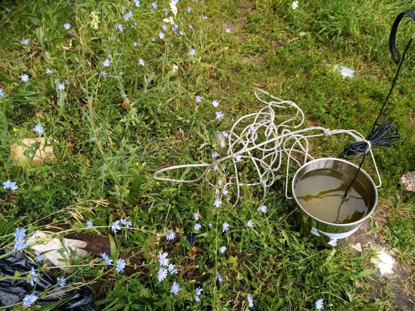 Почему в воронежском водоеме погибли караси, выяснят ученые