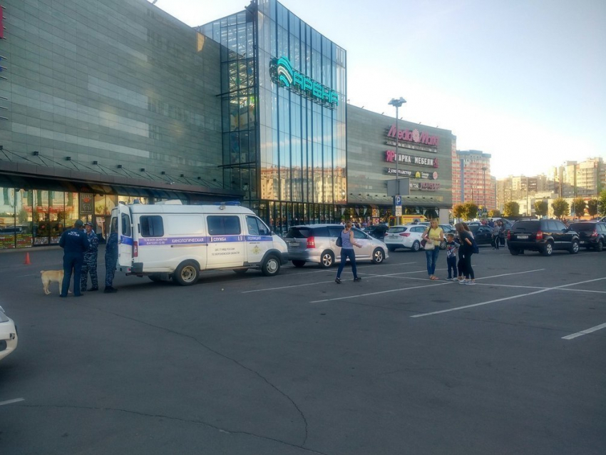 В Сети обвинили украинцев в «минировании» торговых центров Воронежа 