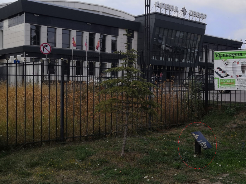 Подозреваемый в акте вандализма в парке Победы отказался давать показания