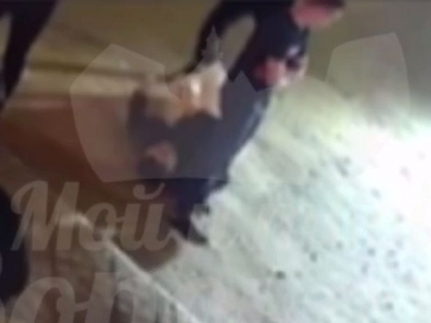 Смертельный удар мужчине около бара на Кольцовской попал на видео в Воронеже