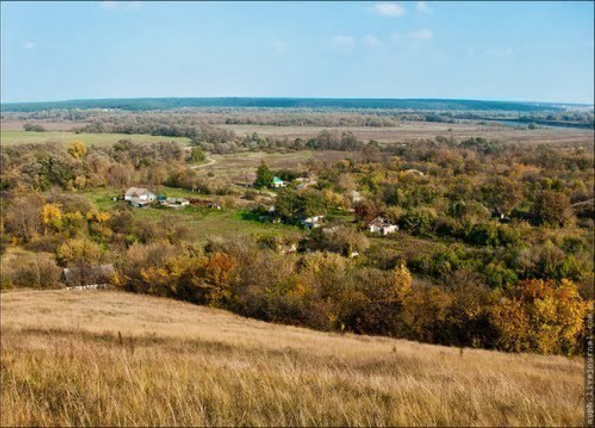 В воронежских «глухоманях» начали проводить беспроводной интернет и мобильную связь