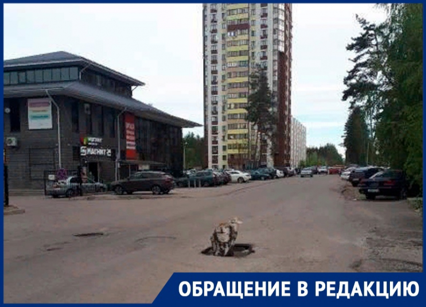 Минский пень угрожает жизни автомобилистов в Воронеже