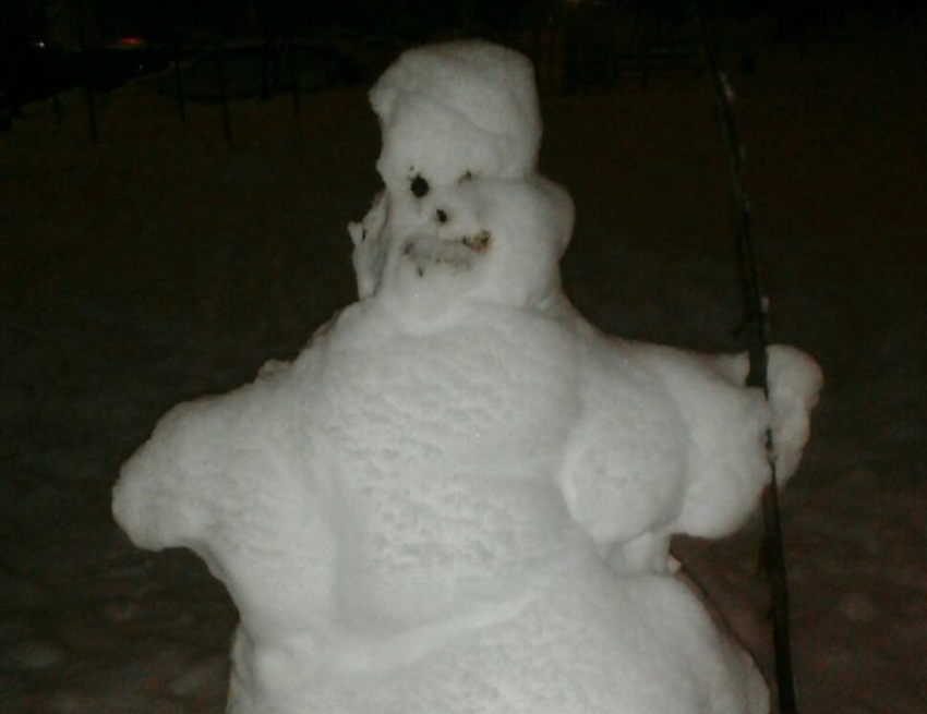 Воронежцы запечатлели снеговика после распития «Боярышника»
