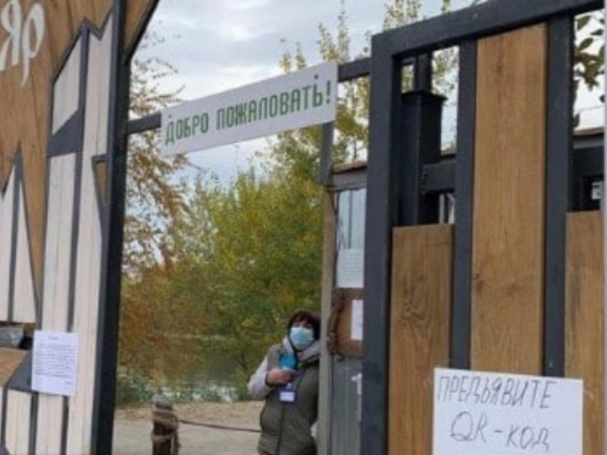 Воронежцев разозлил «ковидный КПП» в Червлёном Яре 